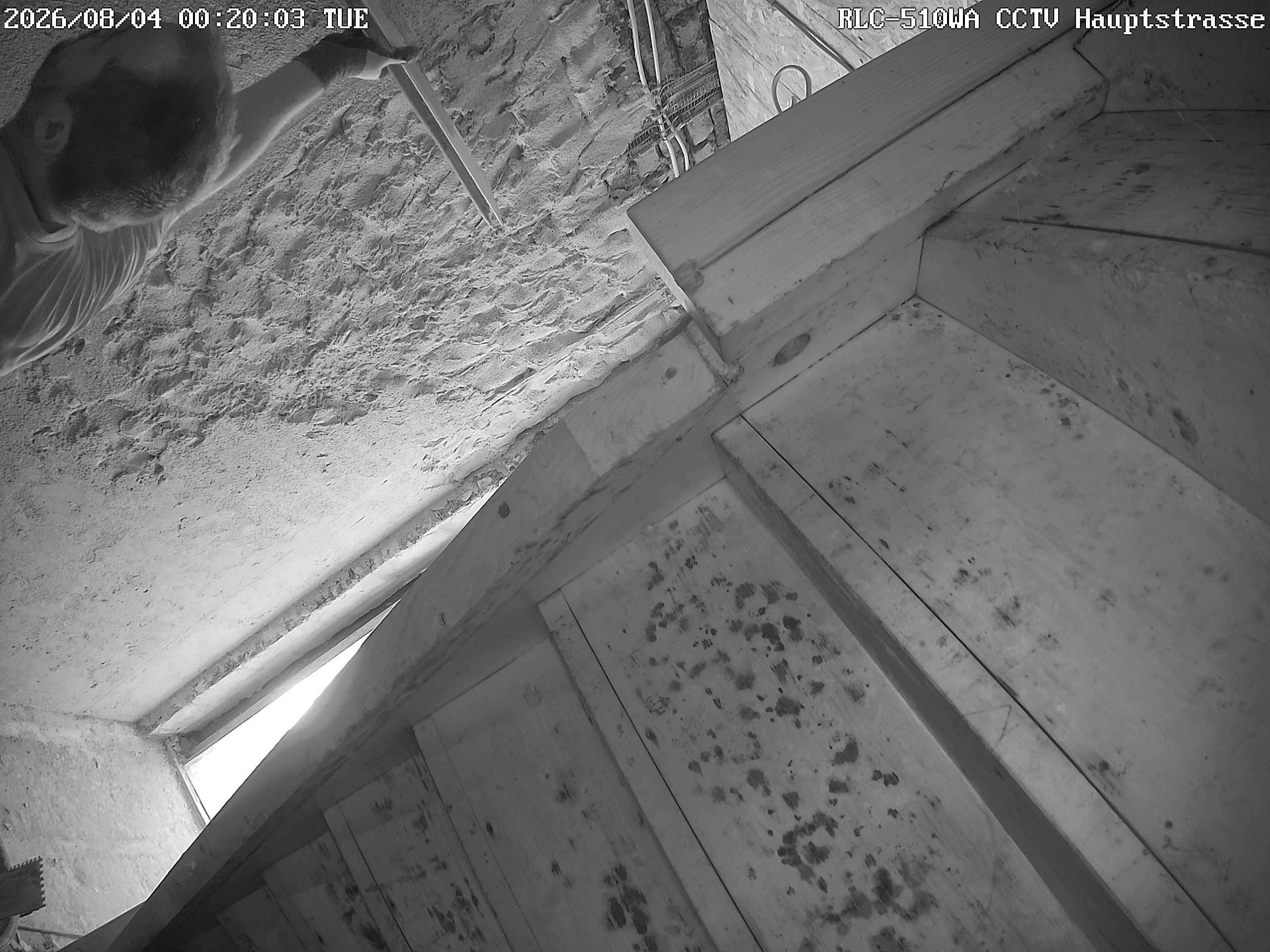 RLC-510WA CCTV Hauptstrasse_00_20260804002003.jpg